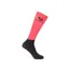 Aubrion Performance Socks in Coral