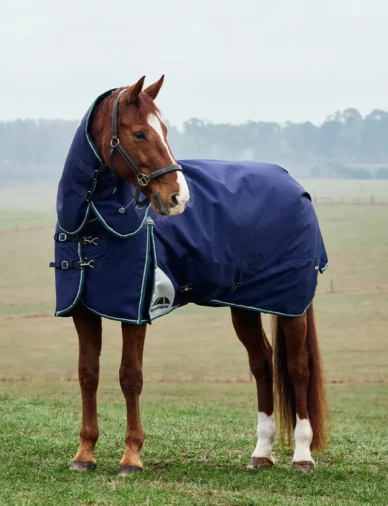 Weatherbeeta Comfitec Plus Dynamic Turnout Detach-A-Neck 100g Navy/Forest Green 5'6-4