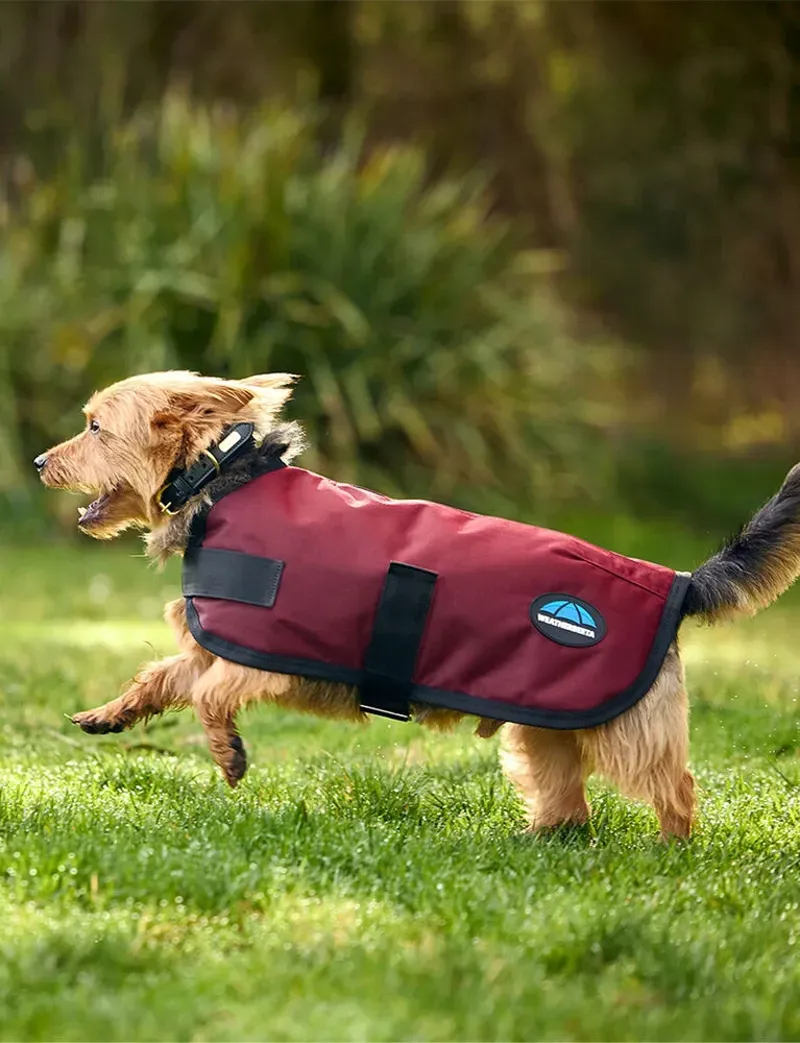 Weatherbeeta Comfitec Classic Waterproof Dog Coat Burgundy 60cm-2