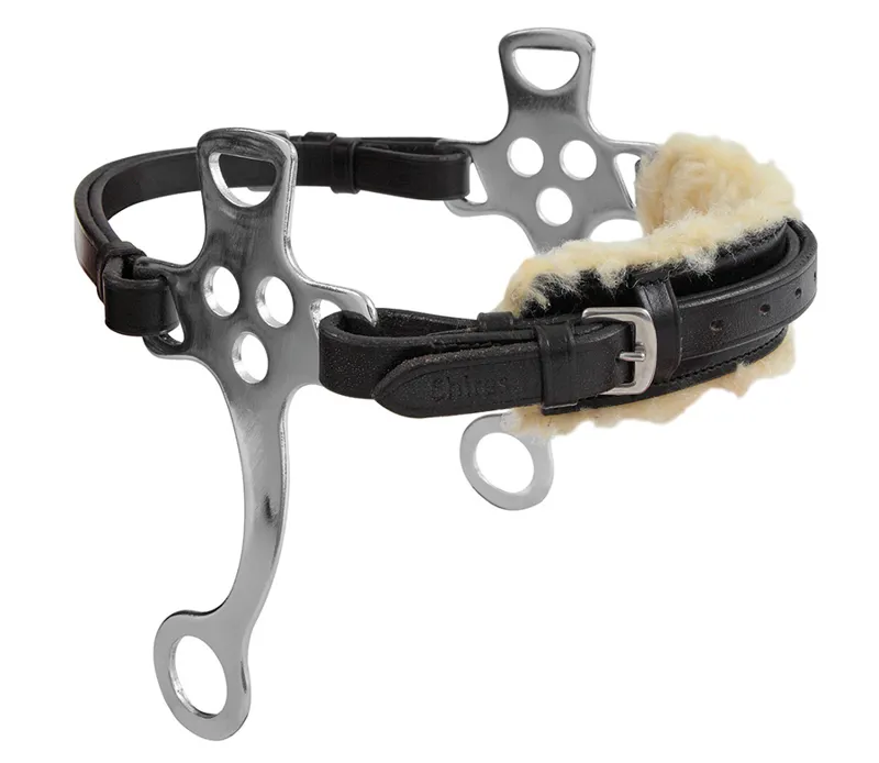 Blenheim Hackamore Leathers in Black