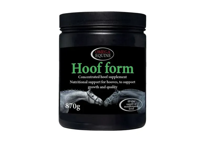 Omega Equine Hoof in Black