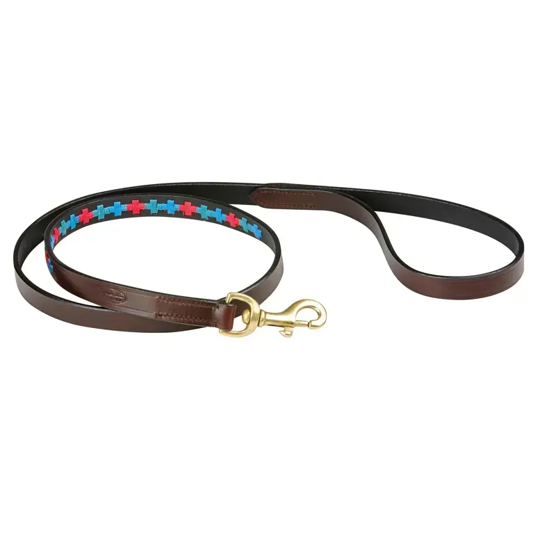 WeatherBeeta Medium Polo Leather Dog Lead in Beaufort Brown/Emerald/Pink/Blue