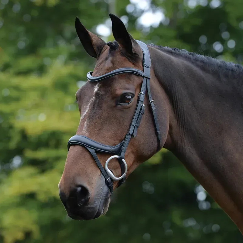 Wb Collegiate Comfitec Vogue Anatomical Bridle Black Cob