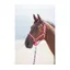 Shires Topaz Full Nylon Headcollar in Pink