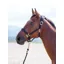 Shires Topaz Full Nylon Headcollar in Black