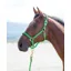 Shires Topaz XX Small Pony Nylon Headcollar In Green