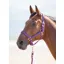 Shires Topaz Full Nylon Headcollar in Purple