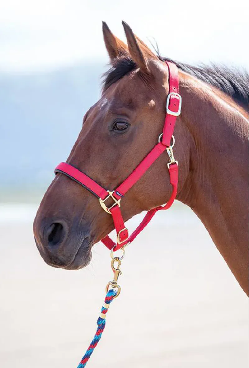 Shires Topaz Full Nylon Headcollar in Red