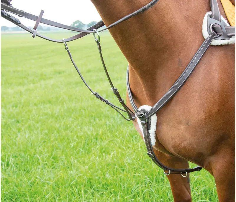 Avignon 5 Point Breastplate in Havana