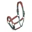 Velociti Lusso Padded Leather Headcollar in Green