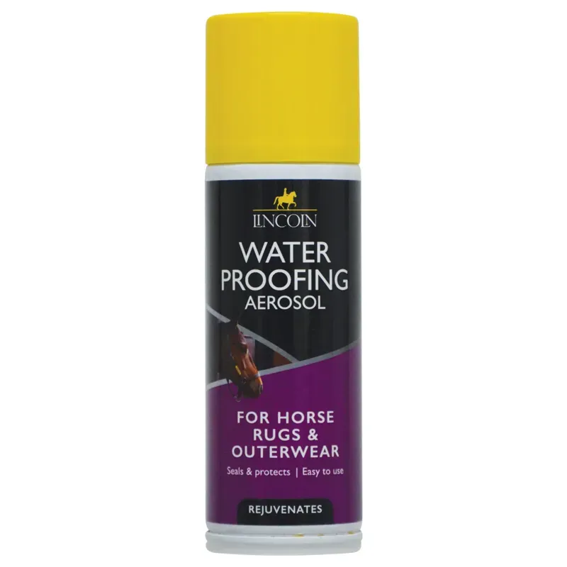 Lincoln 150g Water Proofing Aerosol