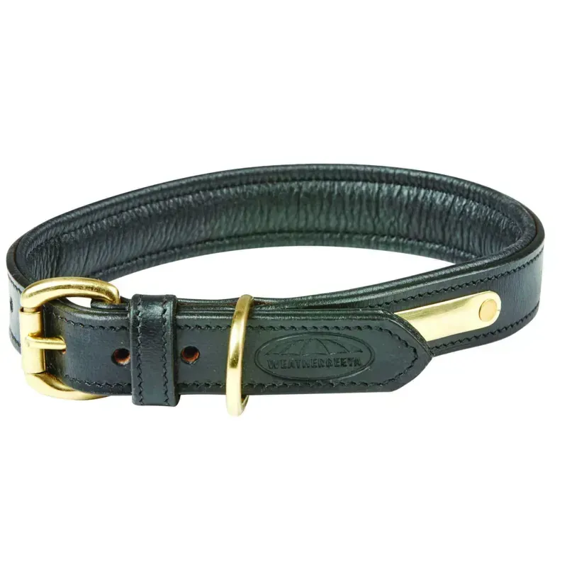 WeatherBeeta Padded Leather Dog Collar in Black