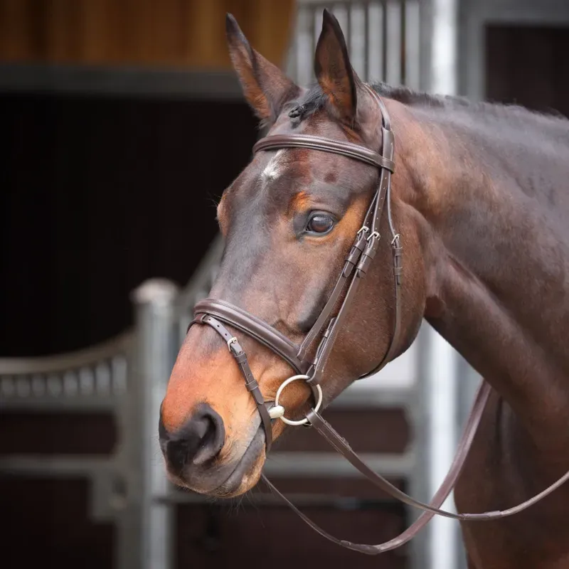 Velociti Aviemore Comfort Fit Bridle in Havana