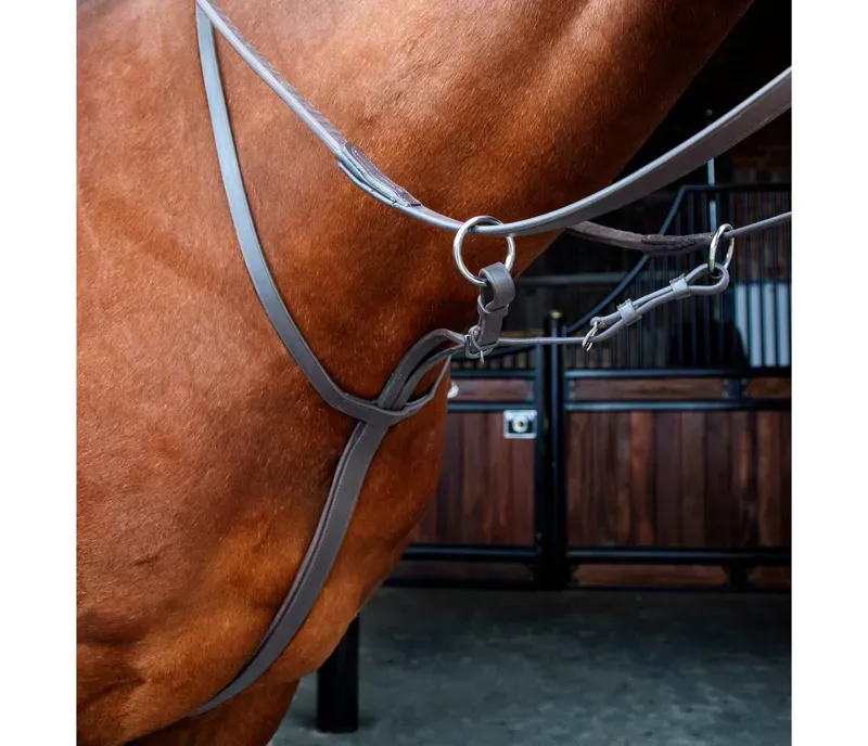 Velociti Running Martingale in Havana