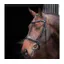 Velociti Lusso Elite Padded Cavesson Bridle in Black