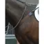 Kincade Full Elastic Showjumping Breastplate II in Brown