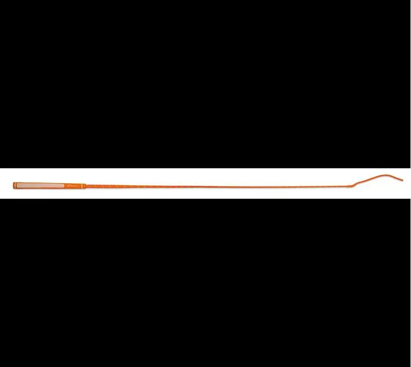 Shires 40.5 Inch Rainbow Schooling Whip In Orange