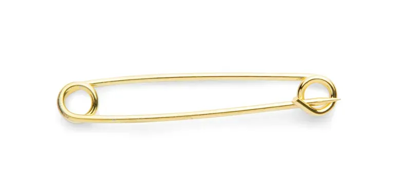 Shires Plain Plated Stock Pin In Gold