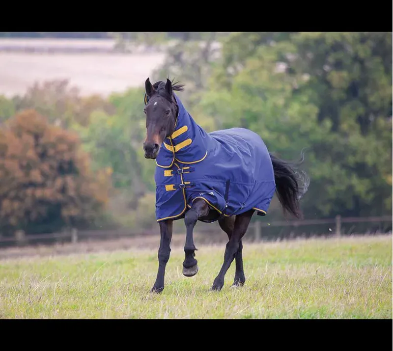 Tempest Original 300 Turnout Combo Rug in Blue