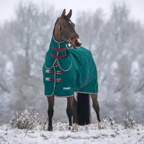 600D COMBO WINTER TURNOUT RUG, 280G POLYFILLING (Blue Camouflage 600D COMBO WINTER TURNOUT RUG, 280G POLYFILLING (Blue Camouflage