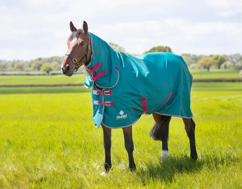Tempest 7'0 / 84 Original Air Motion Combo Rug in Green