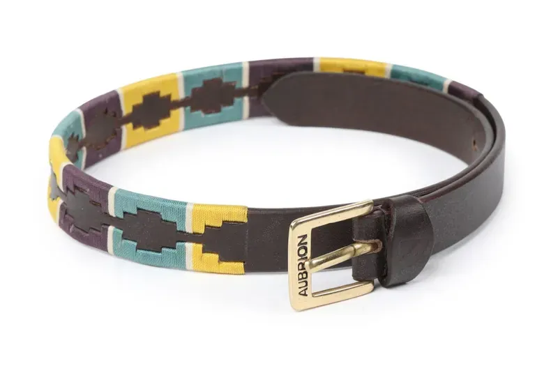 Shires Aubrion Drover Skinny Polo Belt in Yellow/Dark Green/Purple