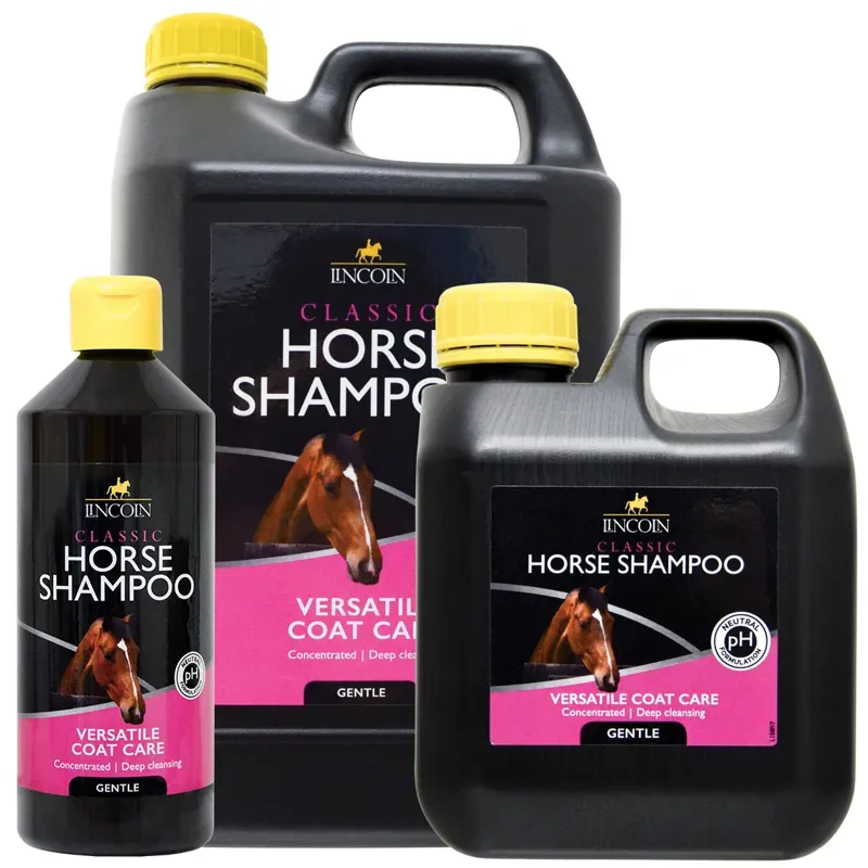 Lincoln BHB Classic Horse Shampoo in Black
