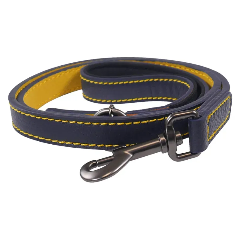 Long leather dog leads on sale