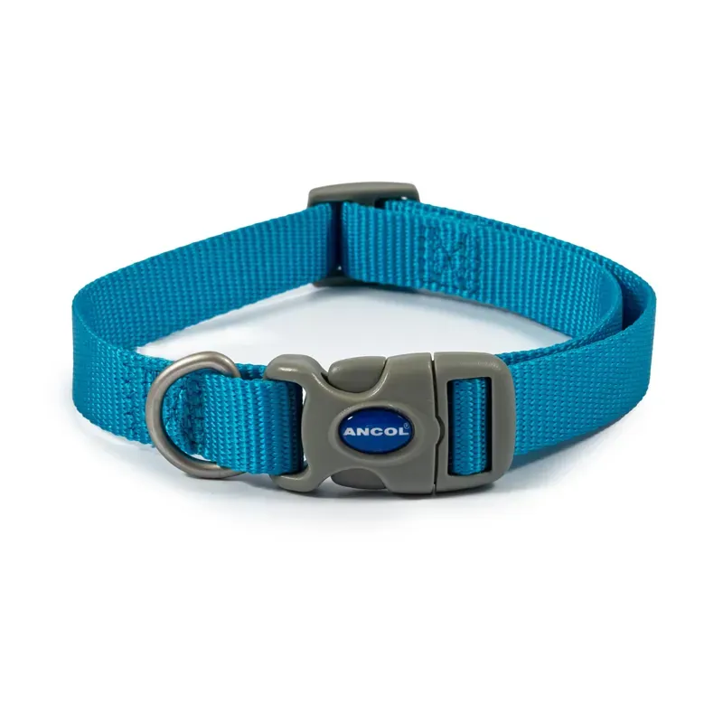 Ancol Viva Adjustable Collar in Blue