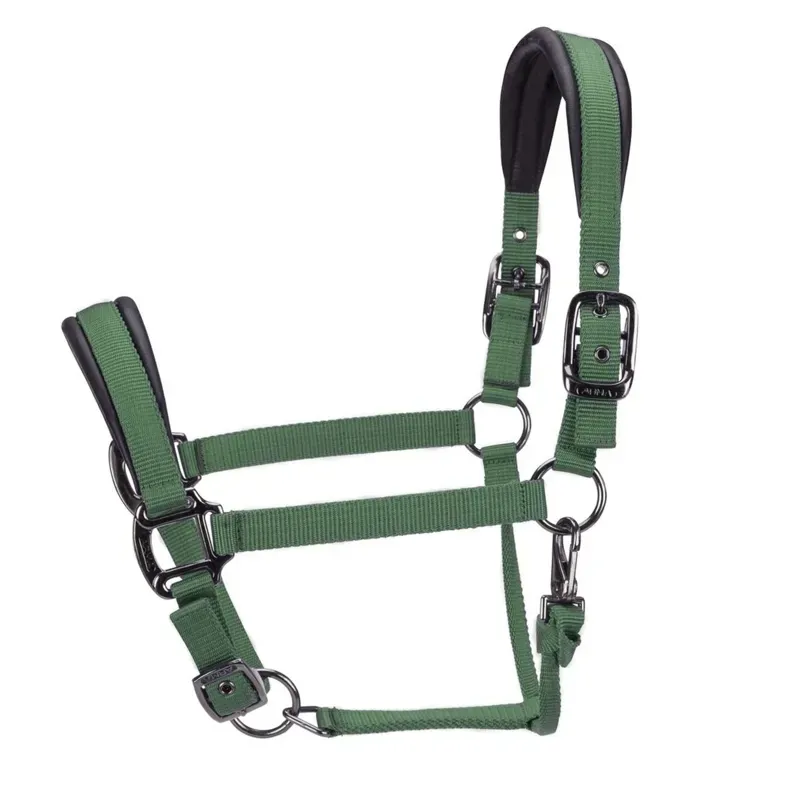 Arma Pro Padded Headcollar in Dark Green