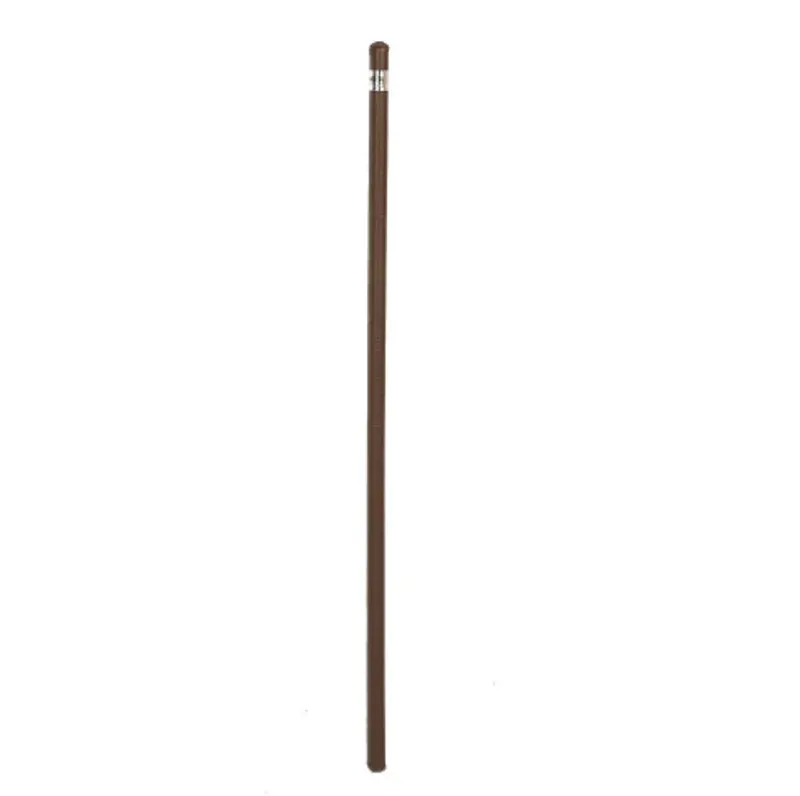 Hy Equestrian Leather Cane in Brown