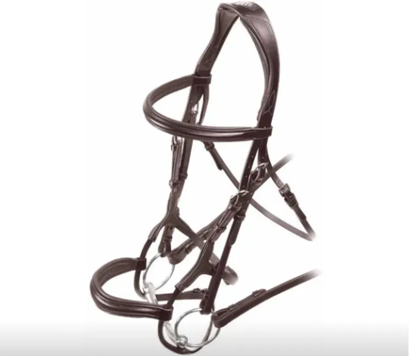 Velociti Rolled Padded Cavesson Bridle in Havana