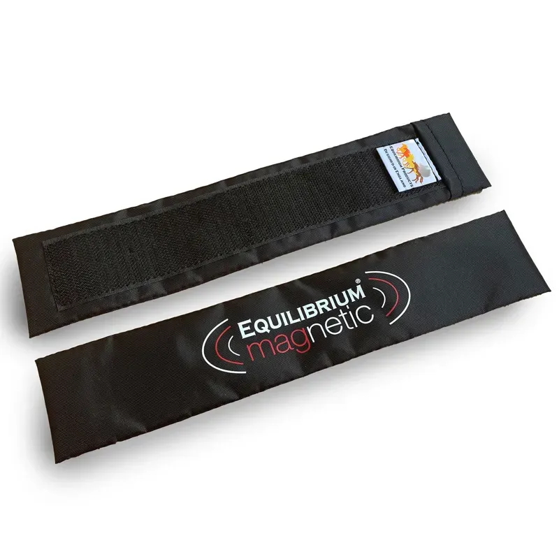 Equilibrium Large 2 Pack Magnetic Spare Magnet in Black