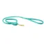 WeatherBeeta Medium Rolled Leather Dog Lead in Teal