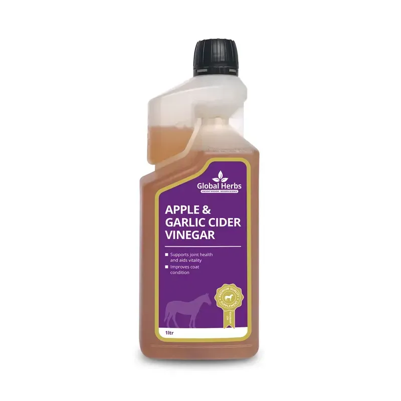 Global Herbs 1 lt Apple and Garlic Cider Vinegar in Purple