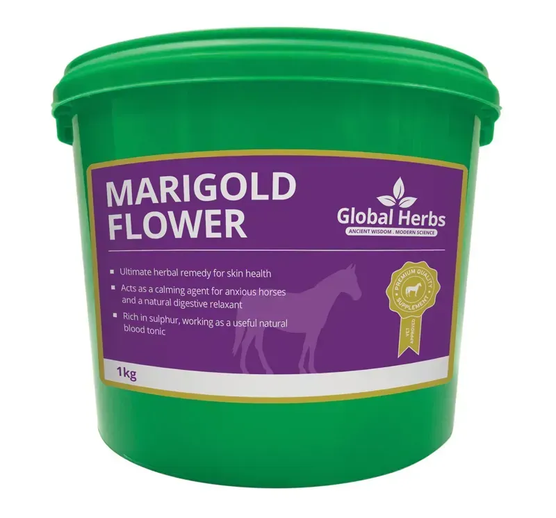 Global Herbs 1kg Marigold Flower in Green