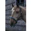 Gallop Premium Padded Leather Headcollar in Brown