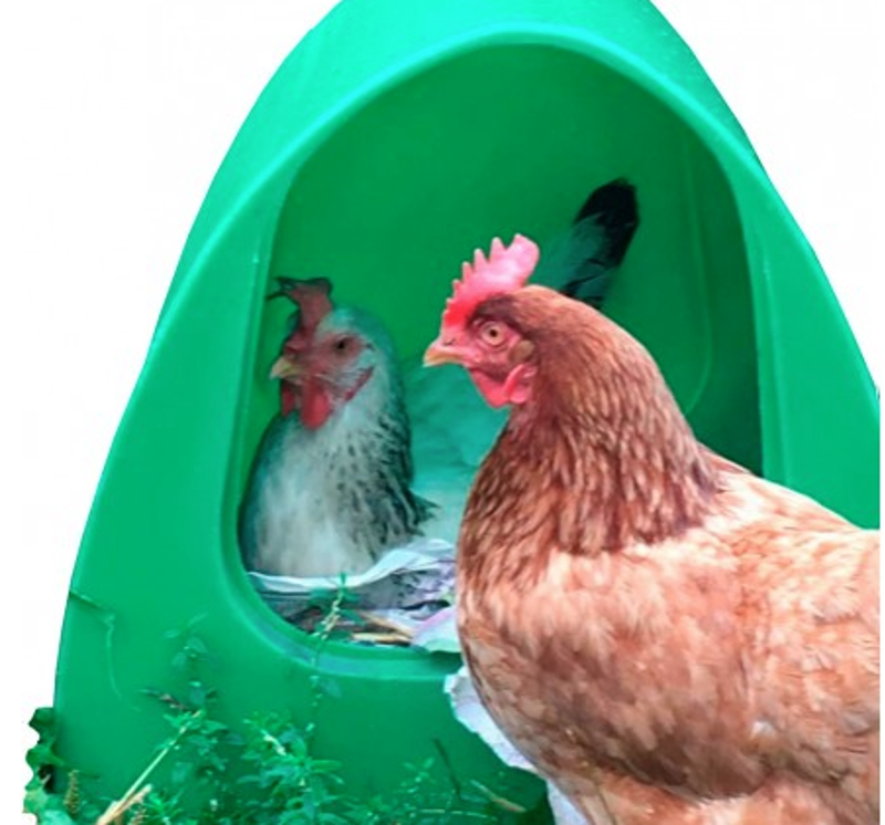 Stubbs Poultry Palace in Green