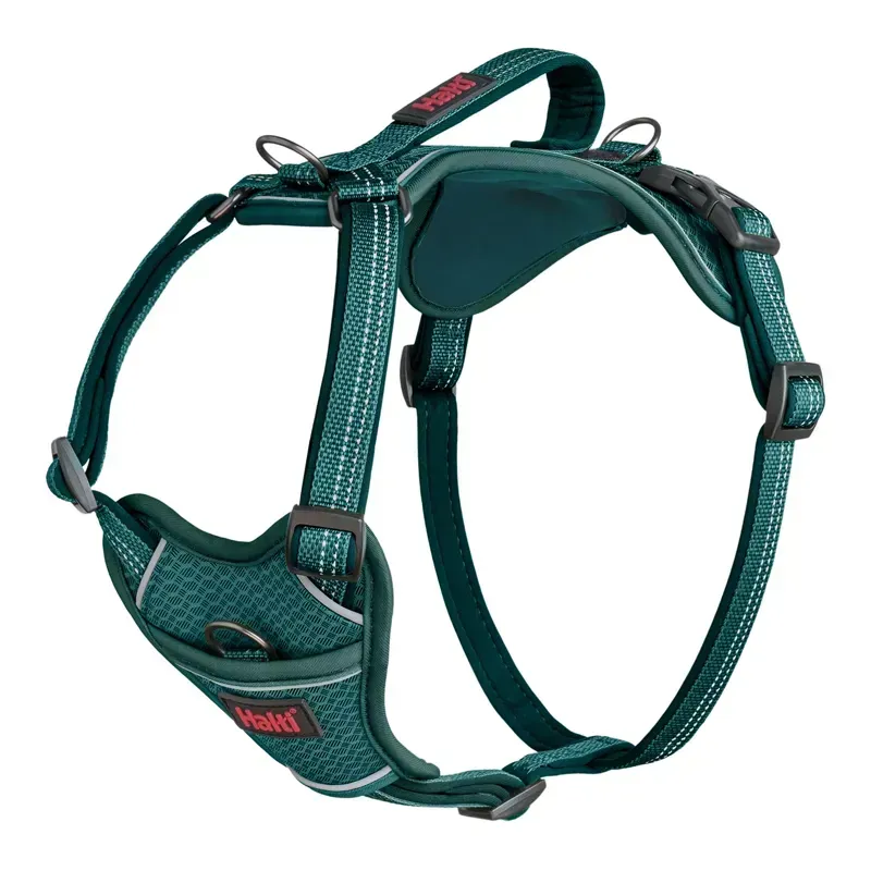 Halti Large Anatomy Harness in Teal
