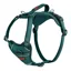 Halti Large Anatomy Harness in Teal