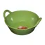 Red Gorilla Small Plas Feed Skip in Pistachio