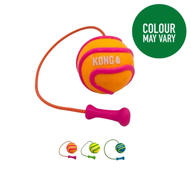 KONG Large Bunji High-Viz Ball Dog Toy in Assorted