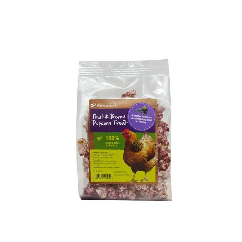 Natures Grub Fruit and Berry Popcorn Treat 20g Bag in Clear