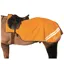 Hy Viz Reflector Exercise Sheet in Orange