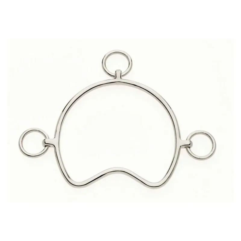 Lorina Chifney in Silver