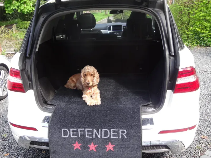 Pet Rebellion Defender in Black