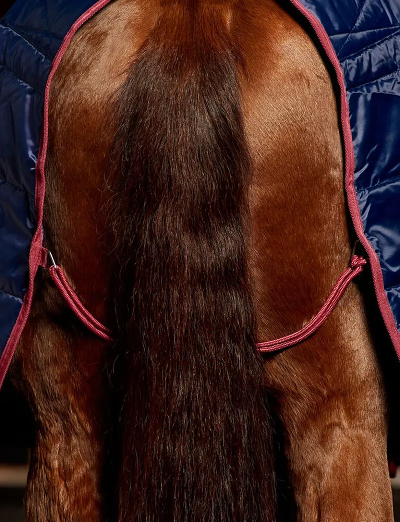 Weatherbeeta Comfitec 210D Channel Quilt Stable Standard Neck 220G Navy/Burgundy-3