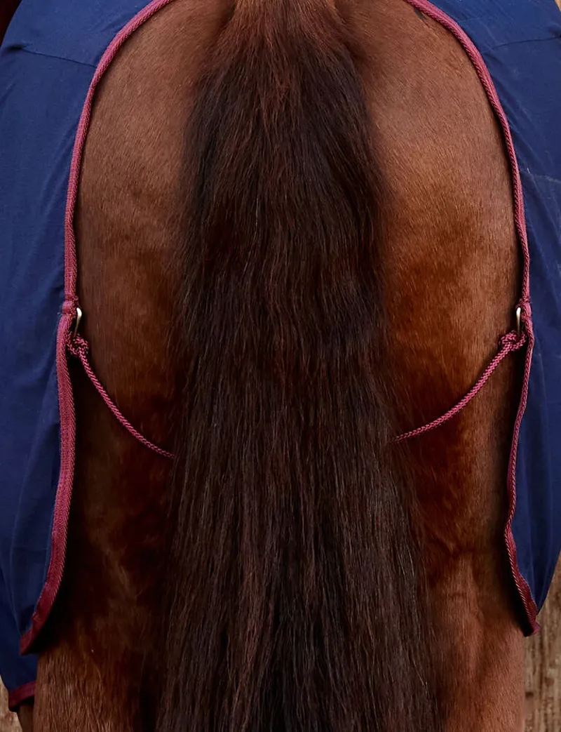 Weatherbeeta Cotton Sheet Standard Neck Navy/Burgundy-2