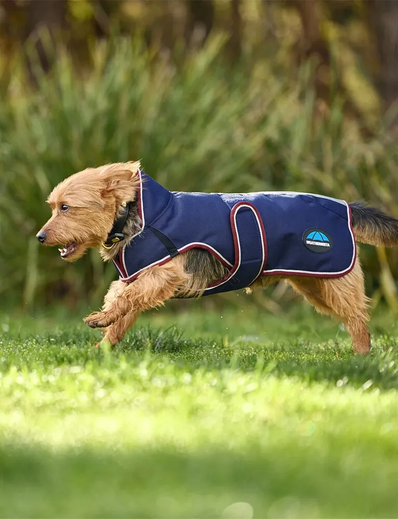 WB Comfitec Premier Duluxe WP Dog Coat Navy/Burg-3