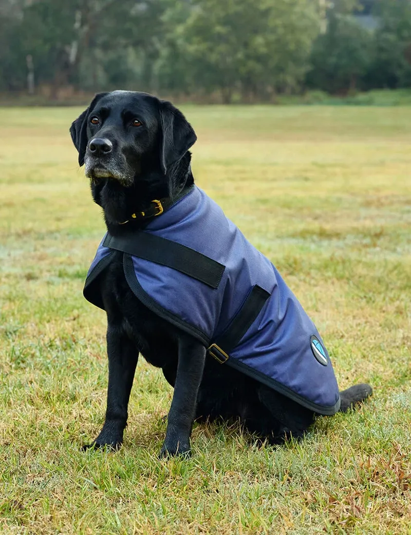 Weatherbeeta Comfitec Classic Waterproof Dog Coat Navy-1